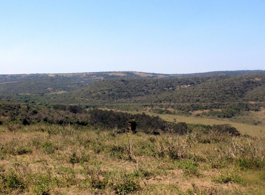 Commercial Property for Sale in Komga Rural Eastern Cape
